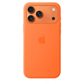 17 Pro Max Case