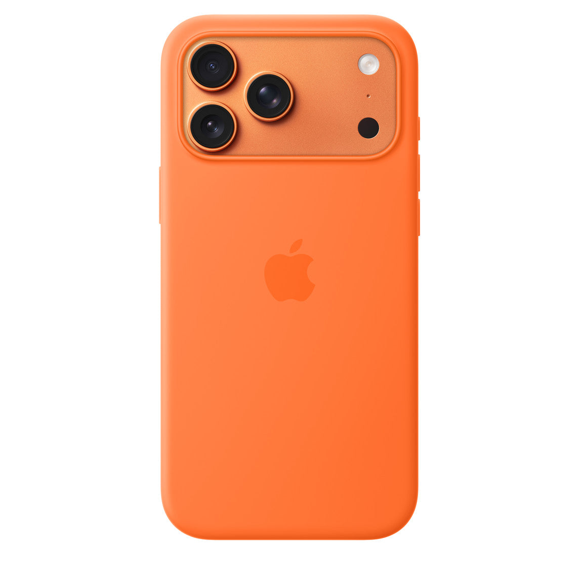 17 Pro Max Case